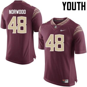Youth Florida State Seminoles Vernon Norwood #48 Garnet Embroidery Jersey 111667-957